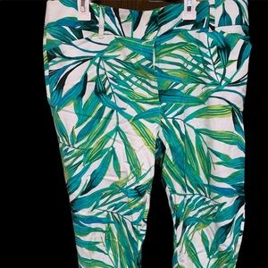 NY& Co Capri Pants